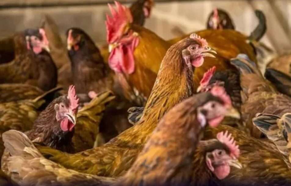 A imagem é meramente ilustrativa