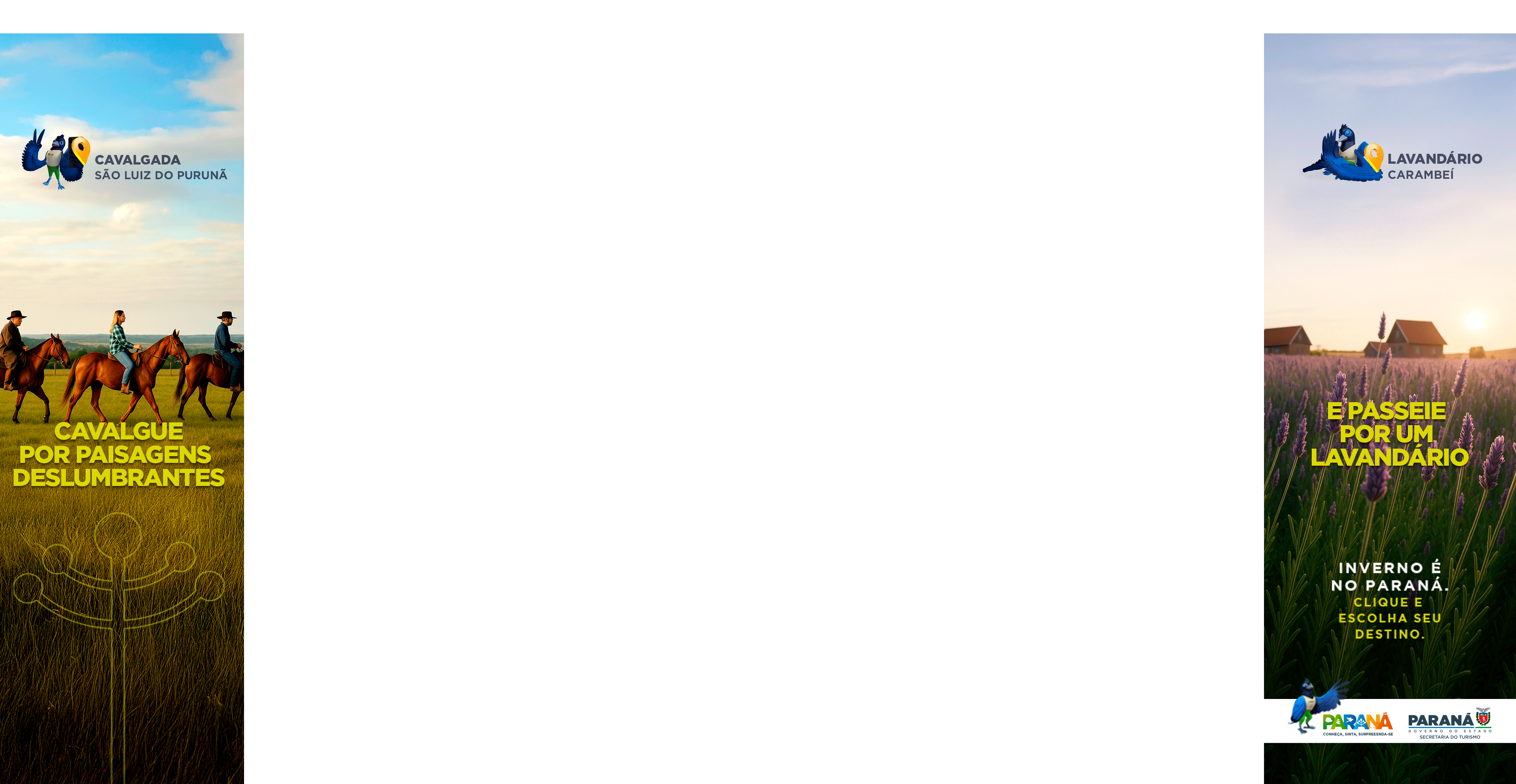 Imagem de fundo do site