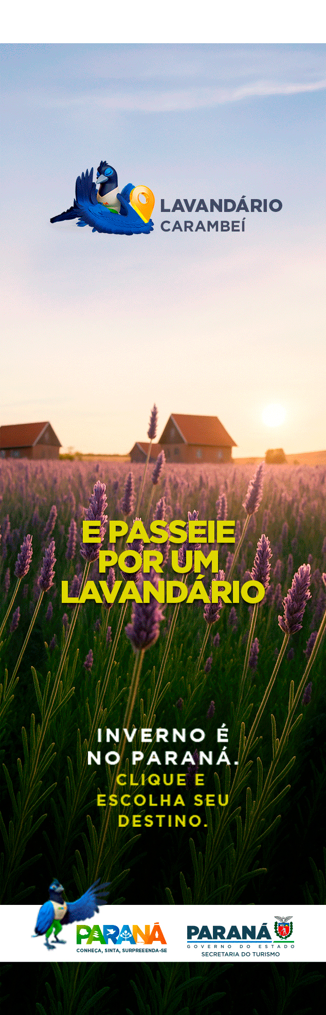 Coluna direita